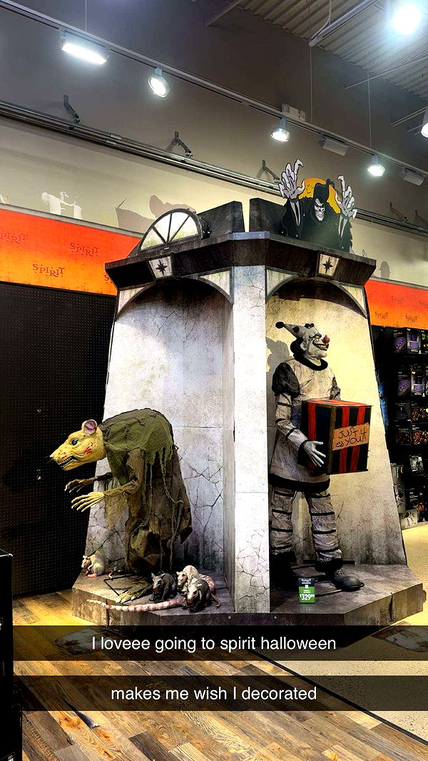 ameliabfit image ~ Altpins