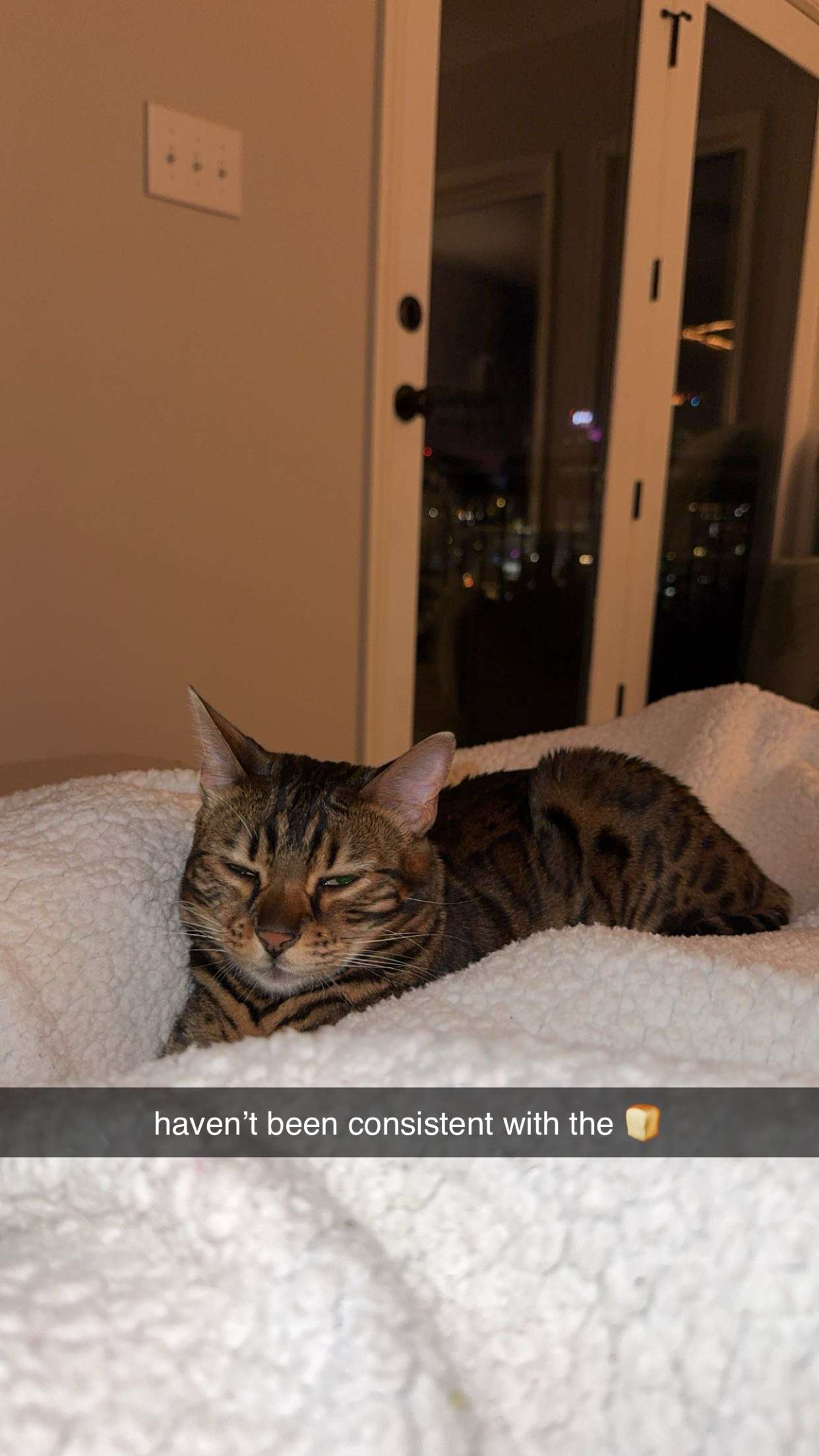 ameliabfit snapchat image archive image