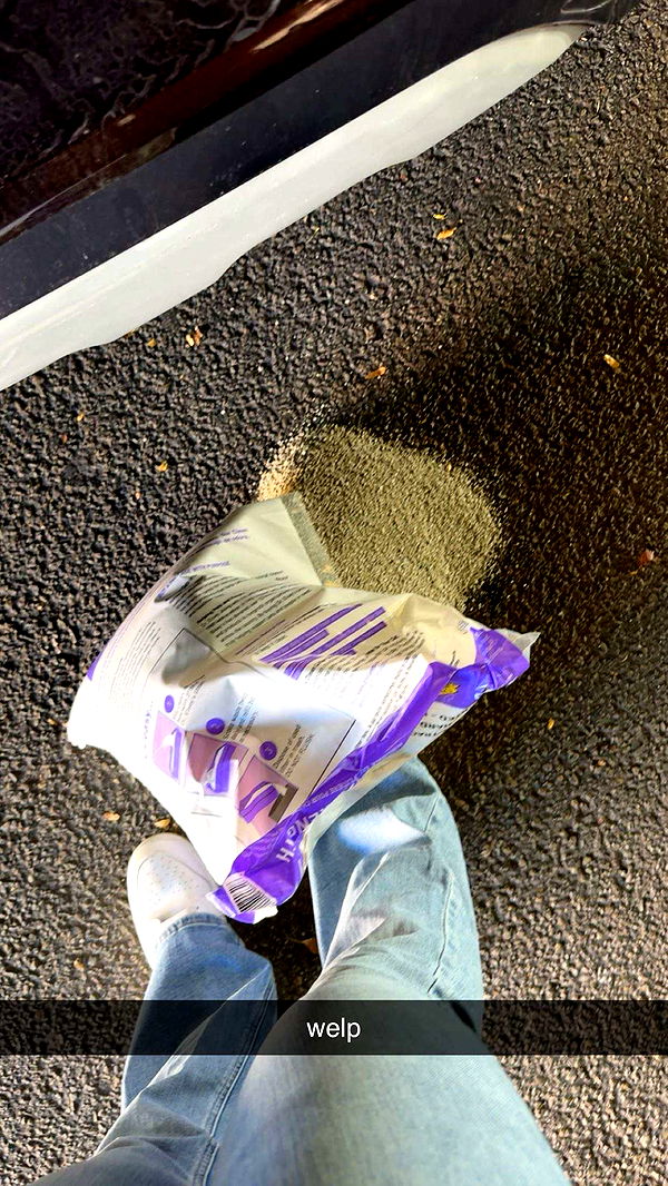 ameliabfit image ~ Altpins