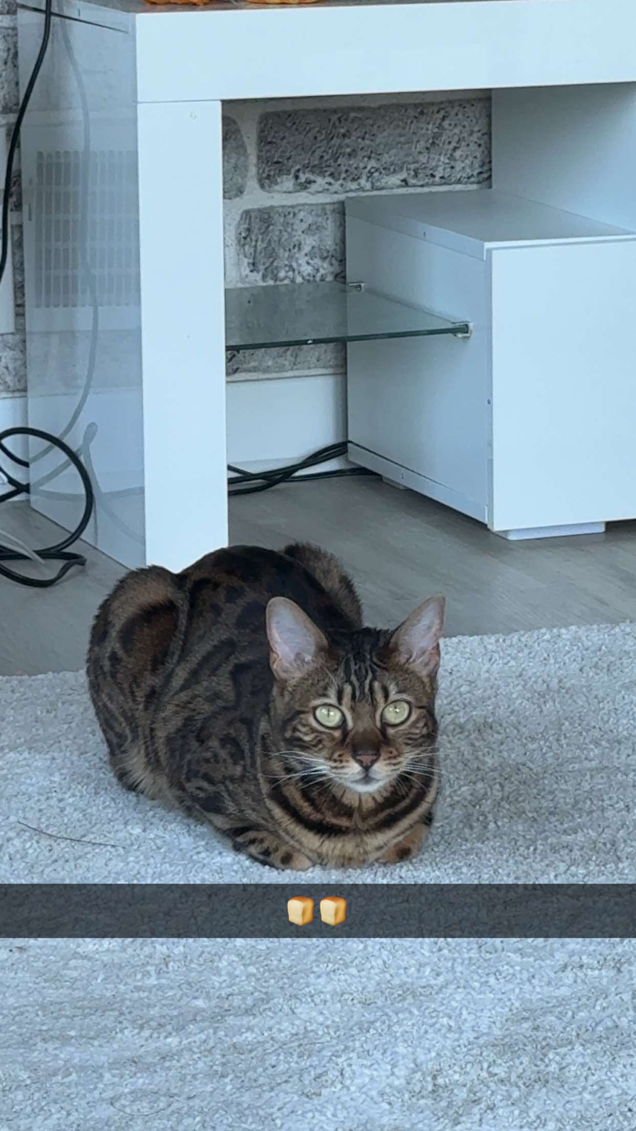 ameliabfit snapchat image archive image