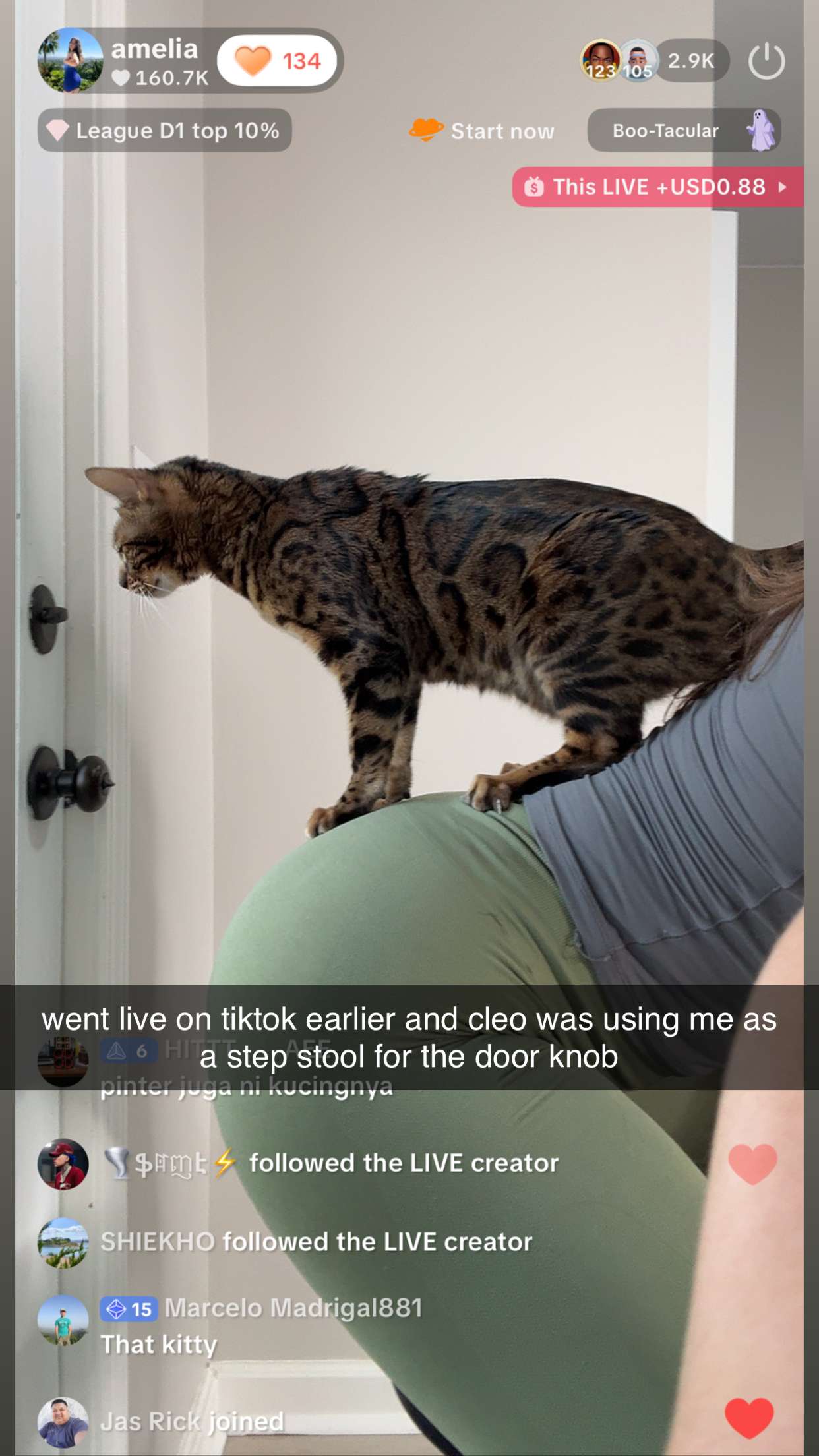 ameliabfit snapchat image archive image