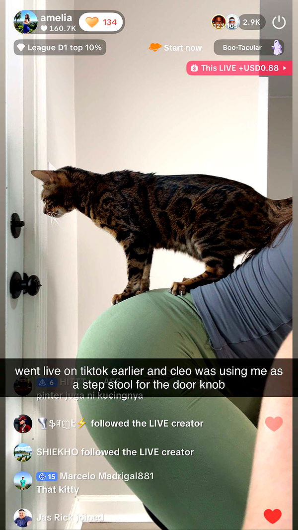 ameliabfit image ~ Altpins