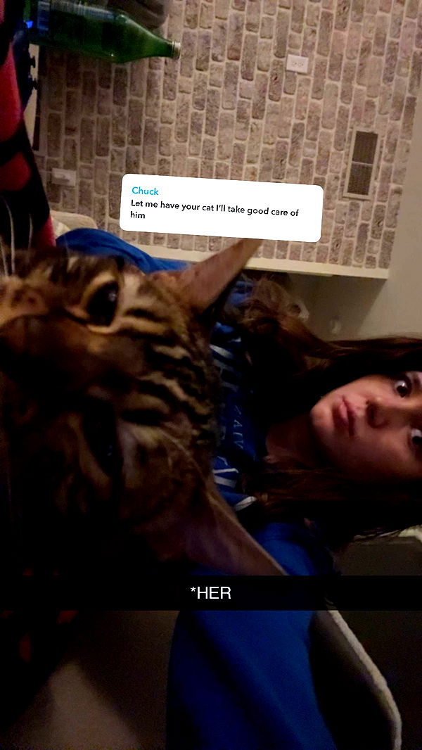 ameliabfit image ~ Altpins