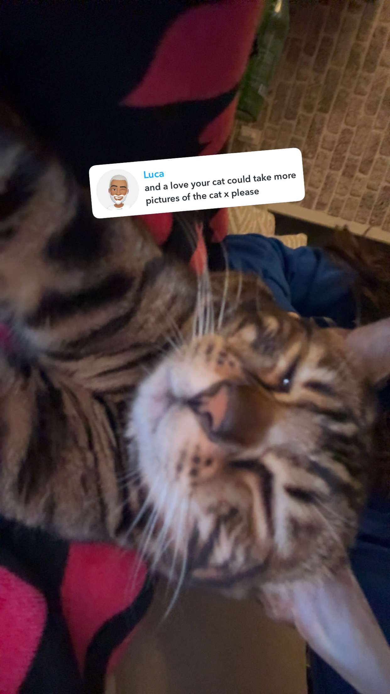 ameliabfit snapchat image archive image