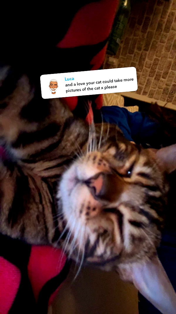 ameliabfit image ~ Altpins