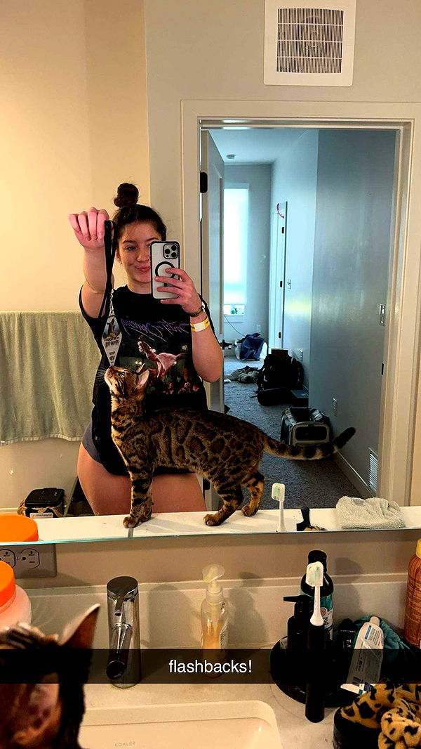 ameliabfit image ~ Altpins