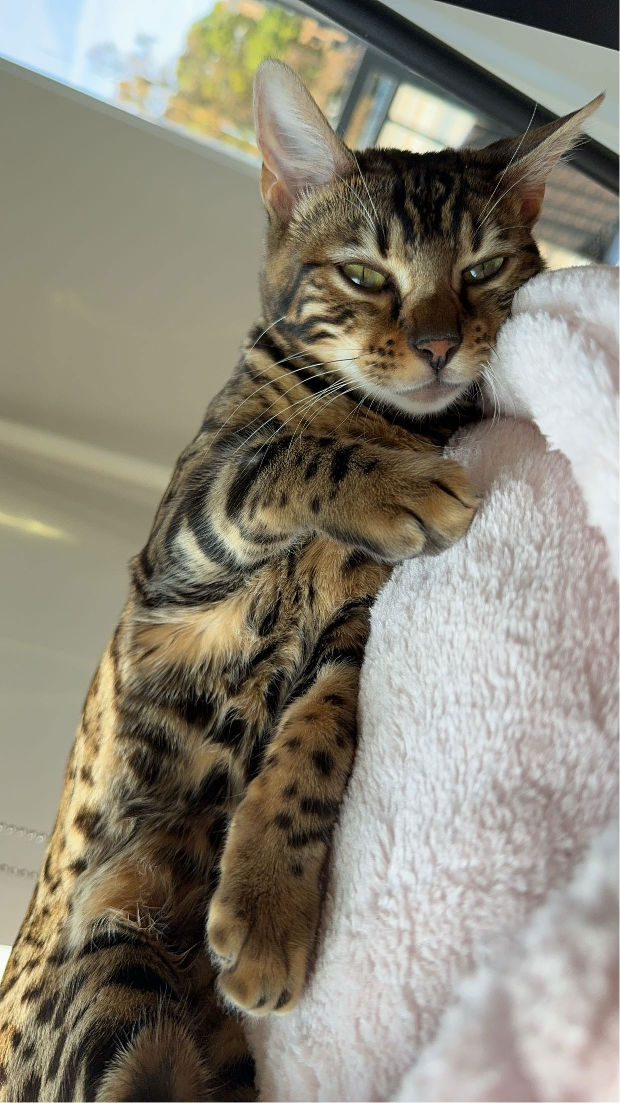 ameliabfit snapchat image archive image