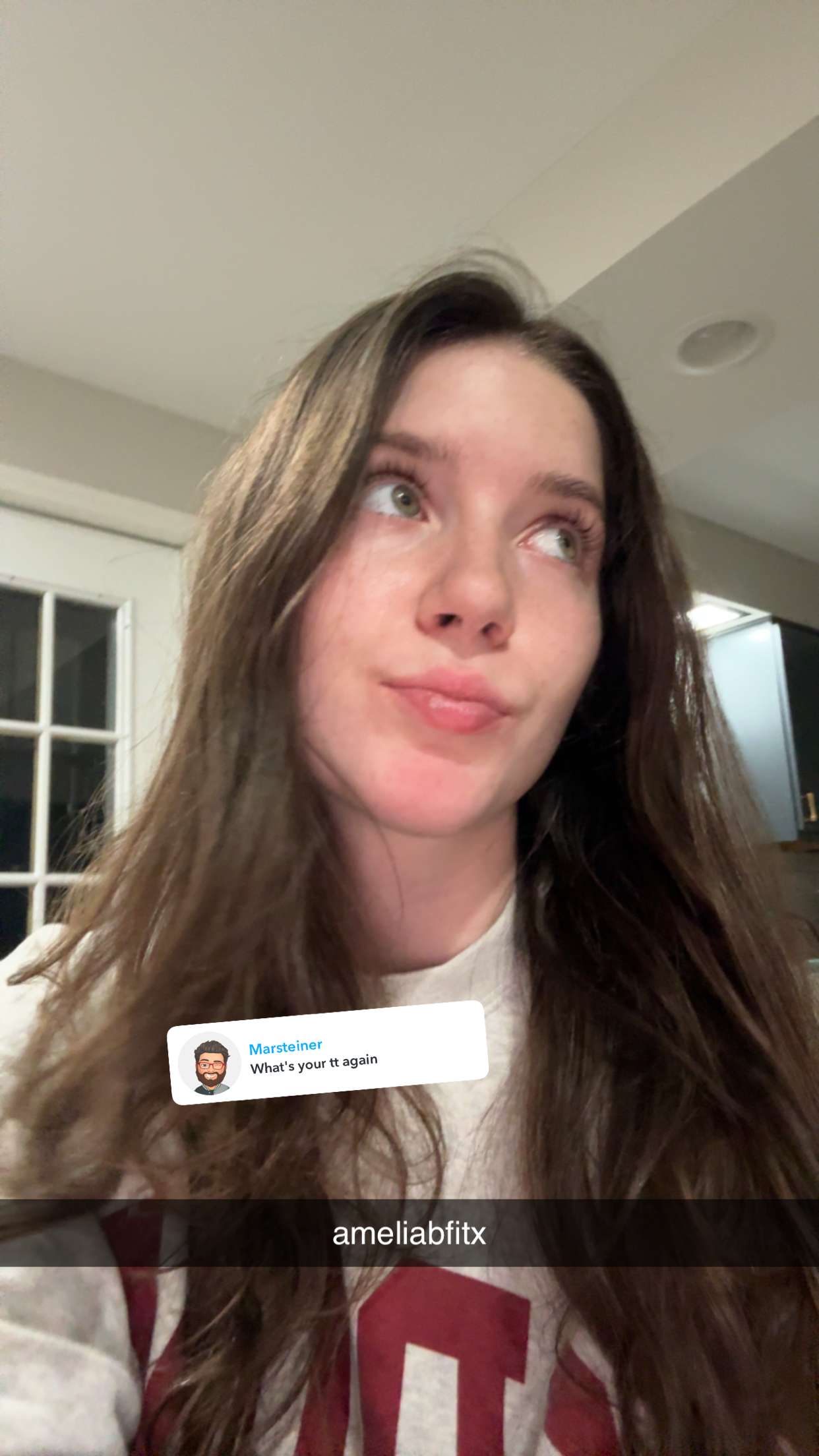 ameliabfit snapchat image archive image