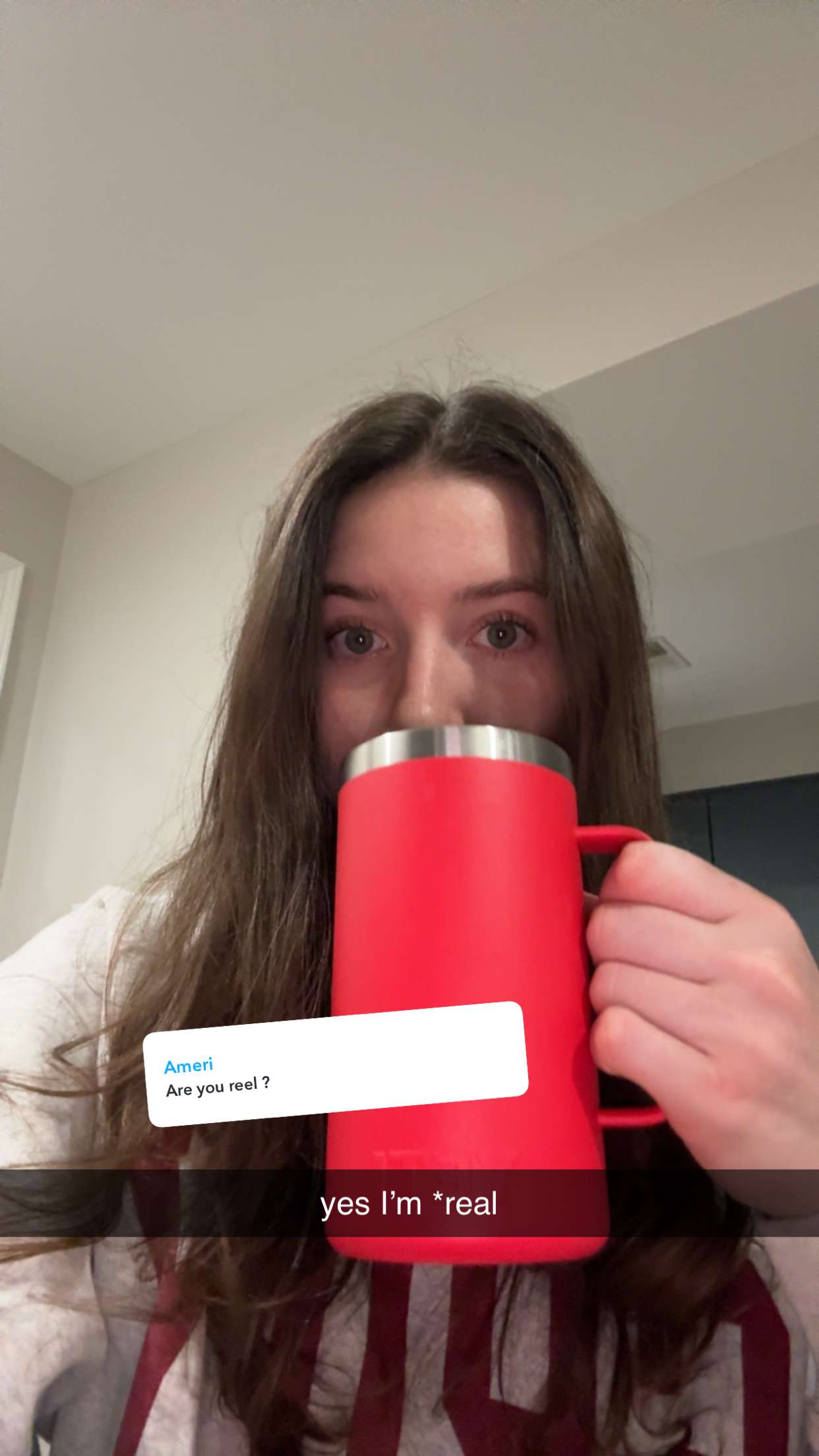 ameliabfit snapchat image archive image