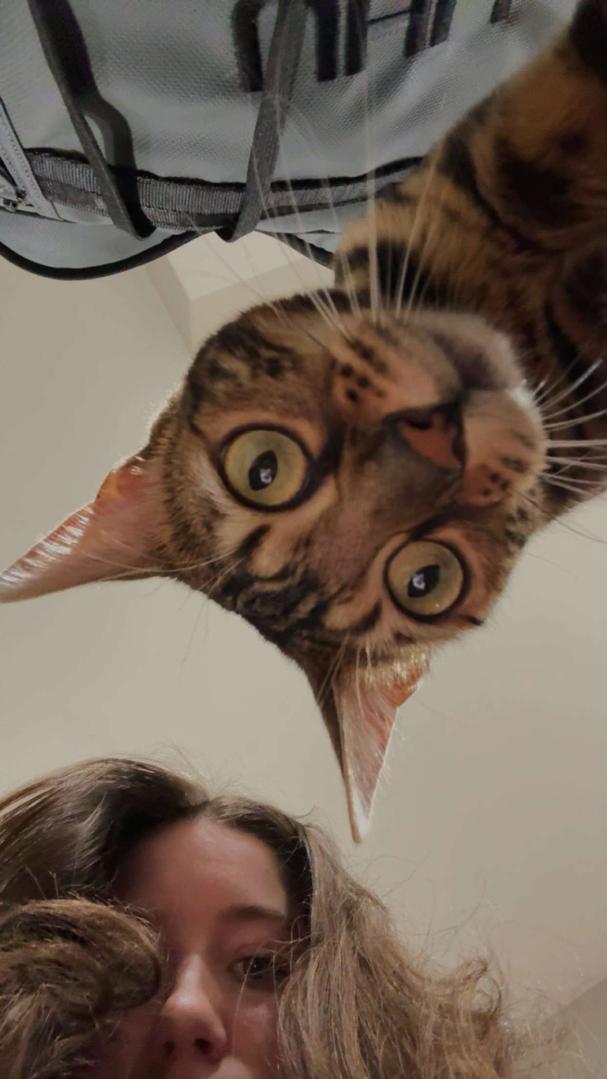 ameliabfit snapchat image archive image