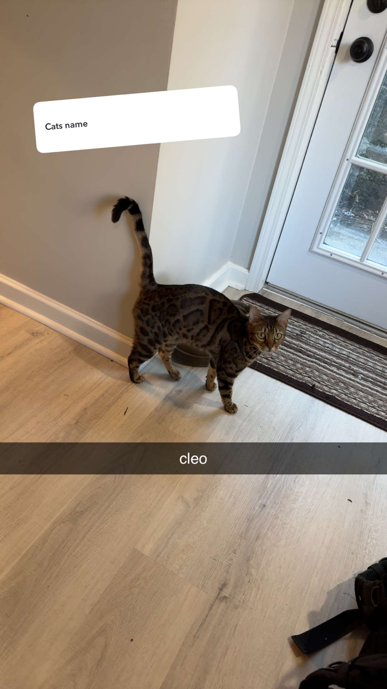 ameliabfit snapchat image archive image