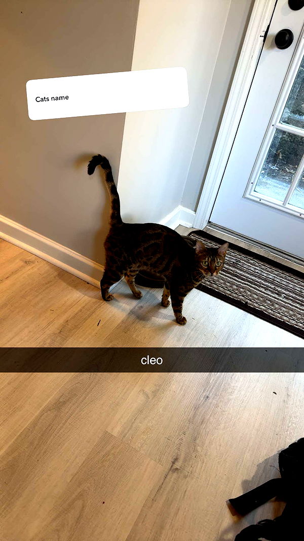 ameliabfit image ~ Altpins