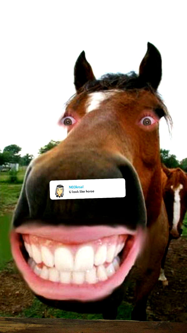 ameliabfit image ~ Altpins