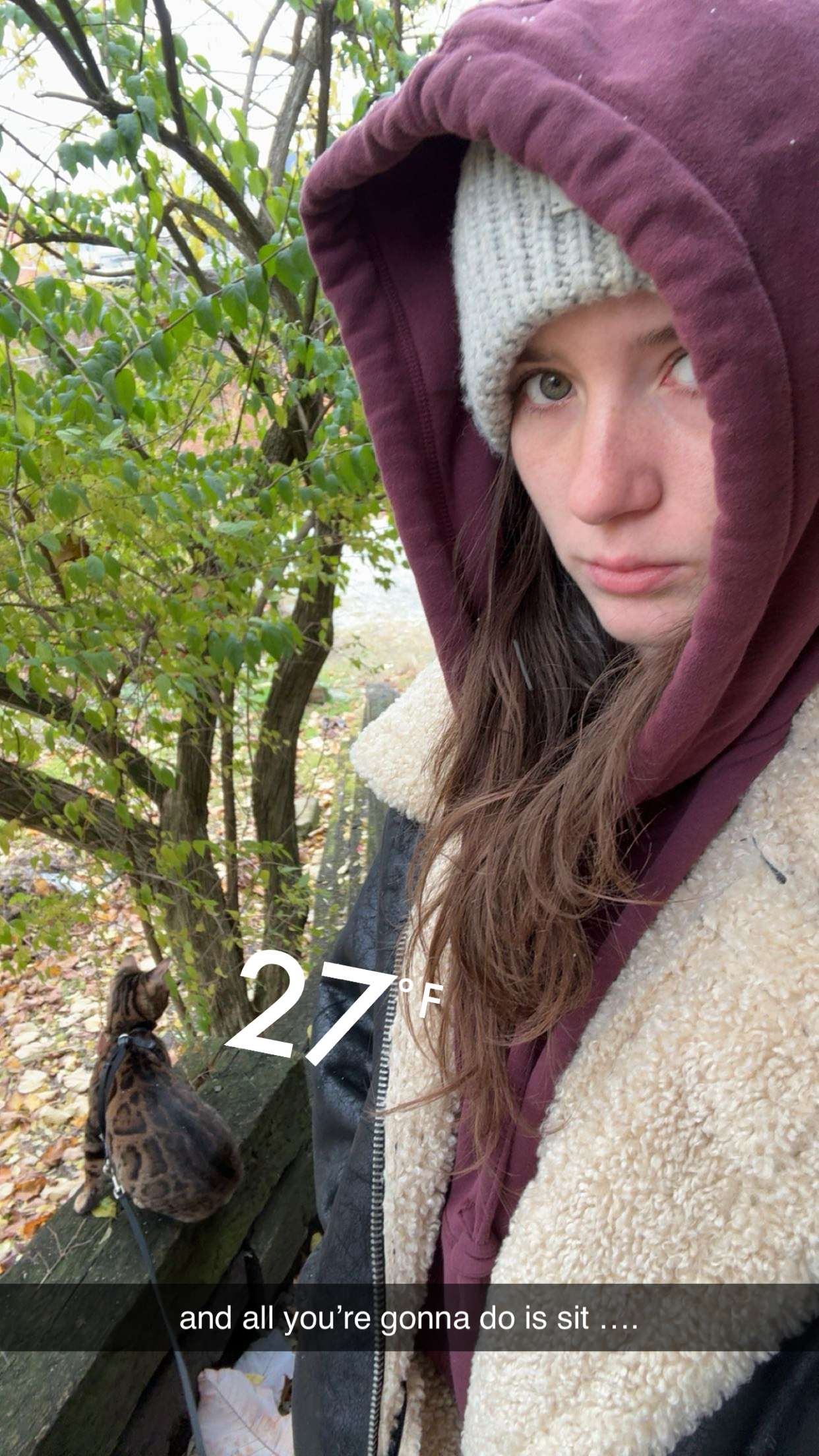 ameliabfit snapchat image archive image