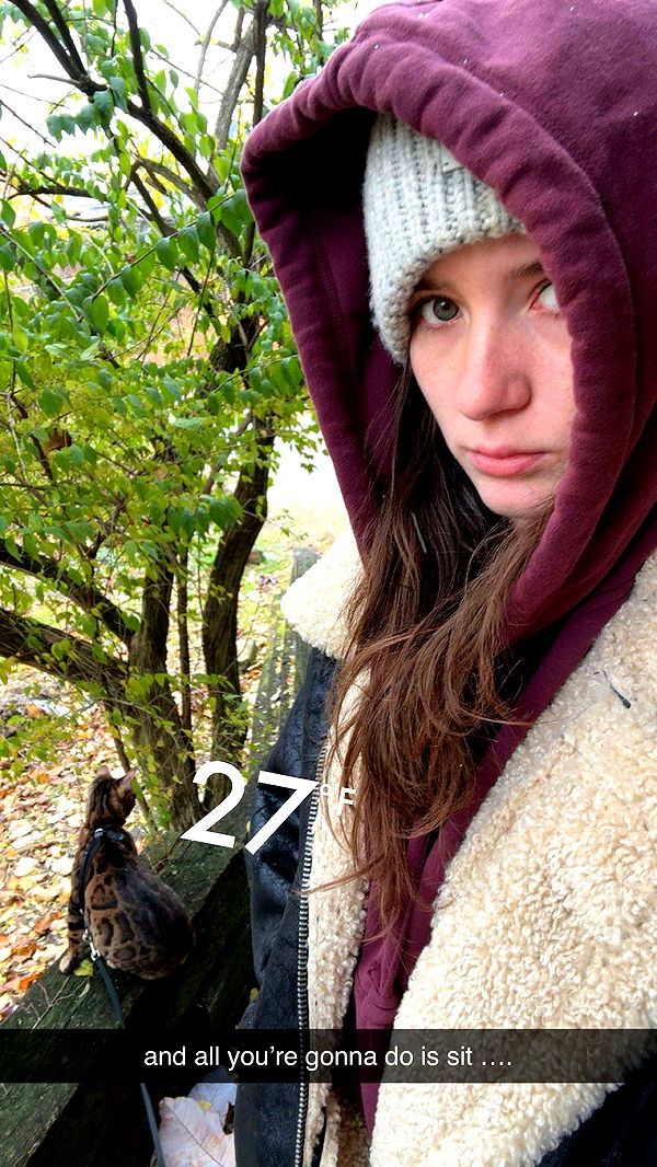 ameliabfit image ~ Altpins