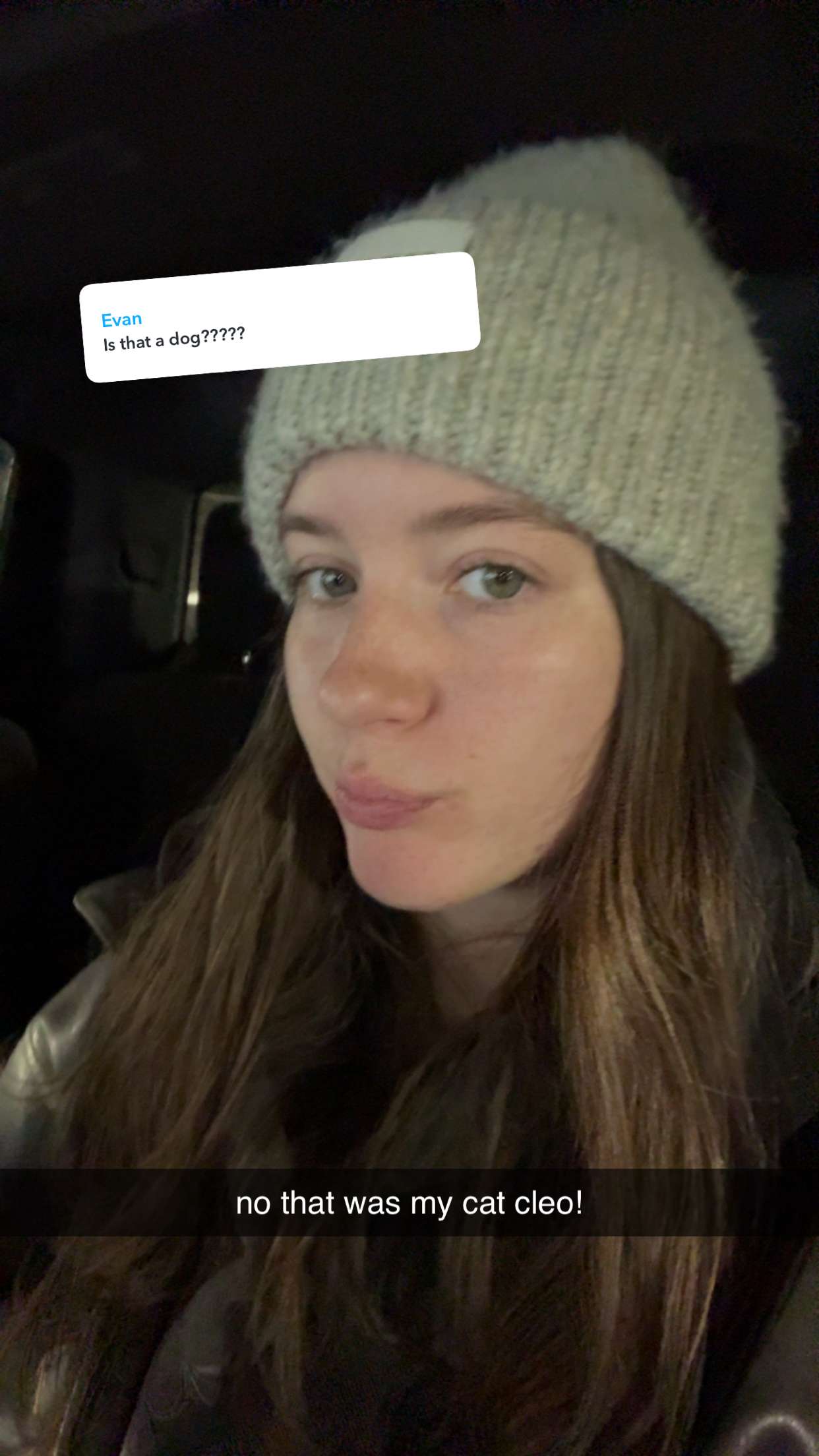 ameliabfit snapchat image archive image