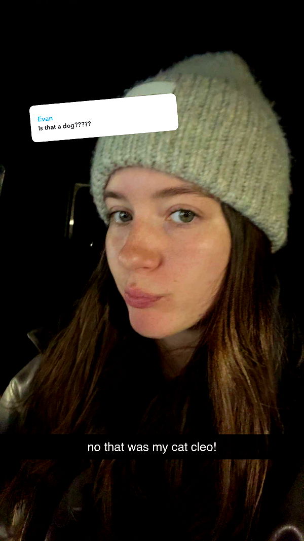 ameliabfit image ~ Altpins