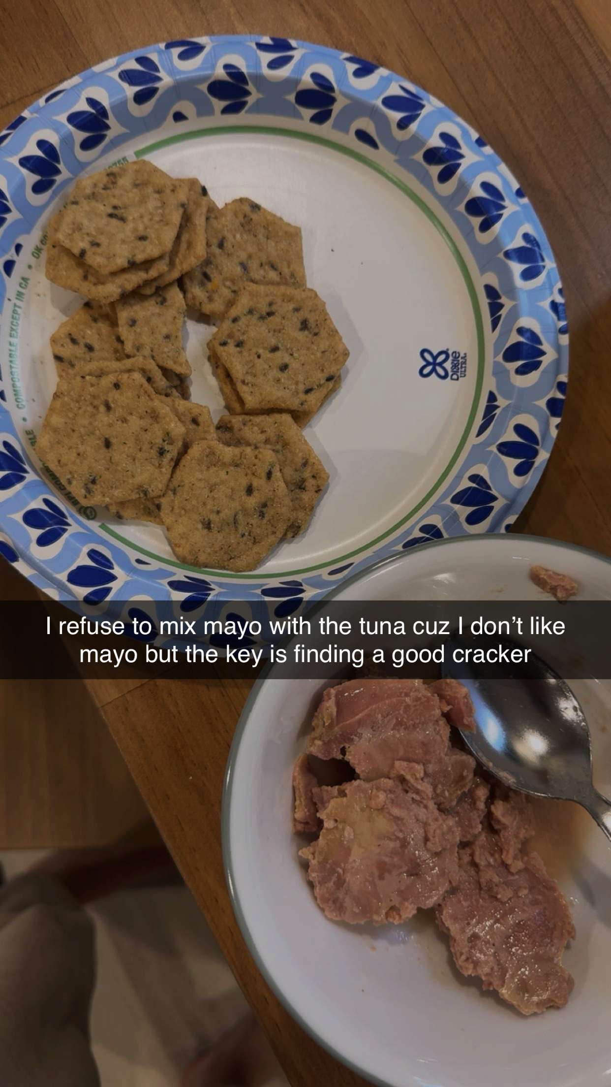 ameliabfit snapchat image archive image