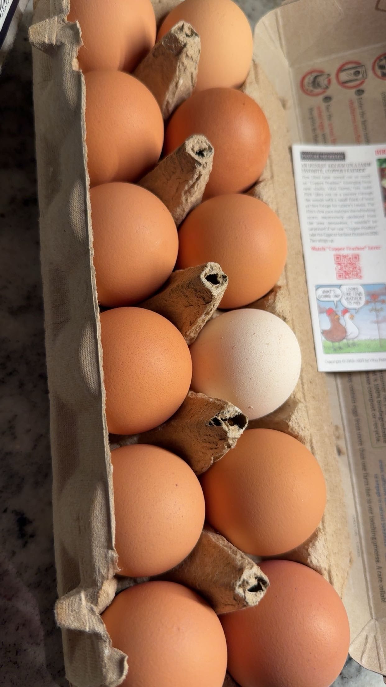 ameliabfit snapchat image archive image