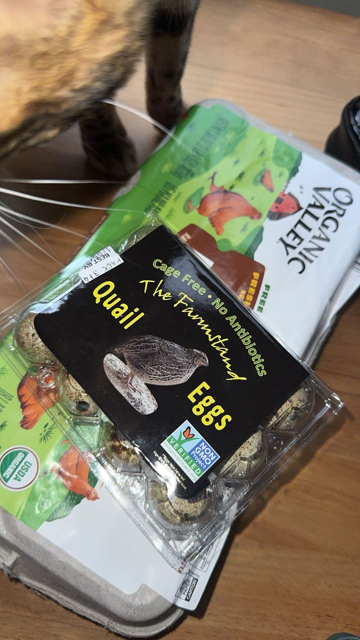 ameliabfit snapchat image archive image