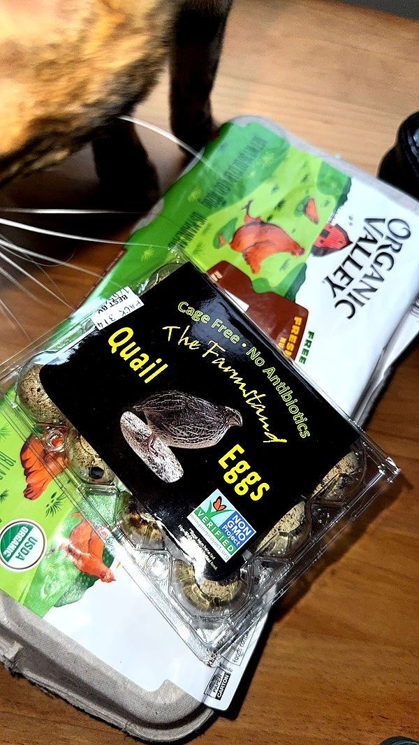 ameliabfit image ~ Altpins