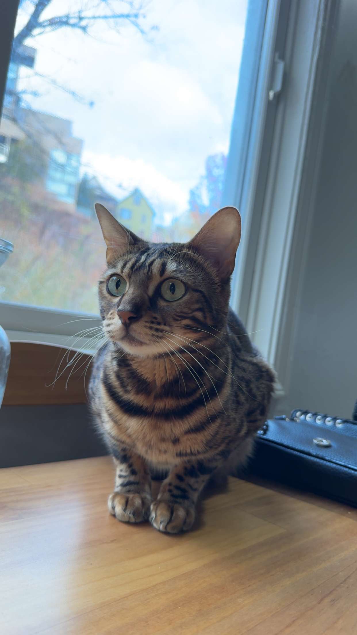 ameliabfit snapchat image archive image