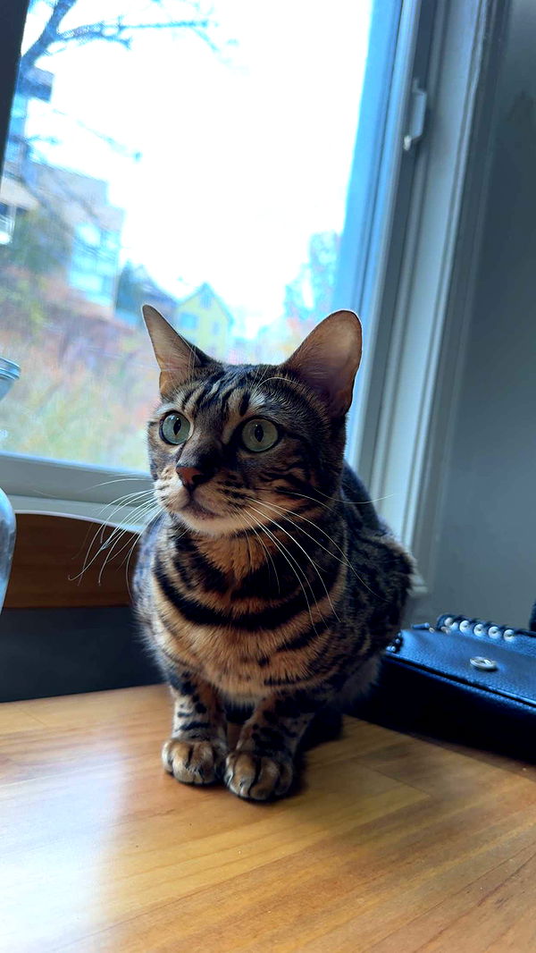 ameliabfit image ~ Altpins