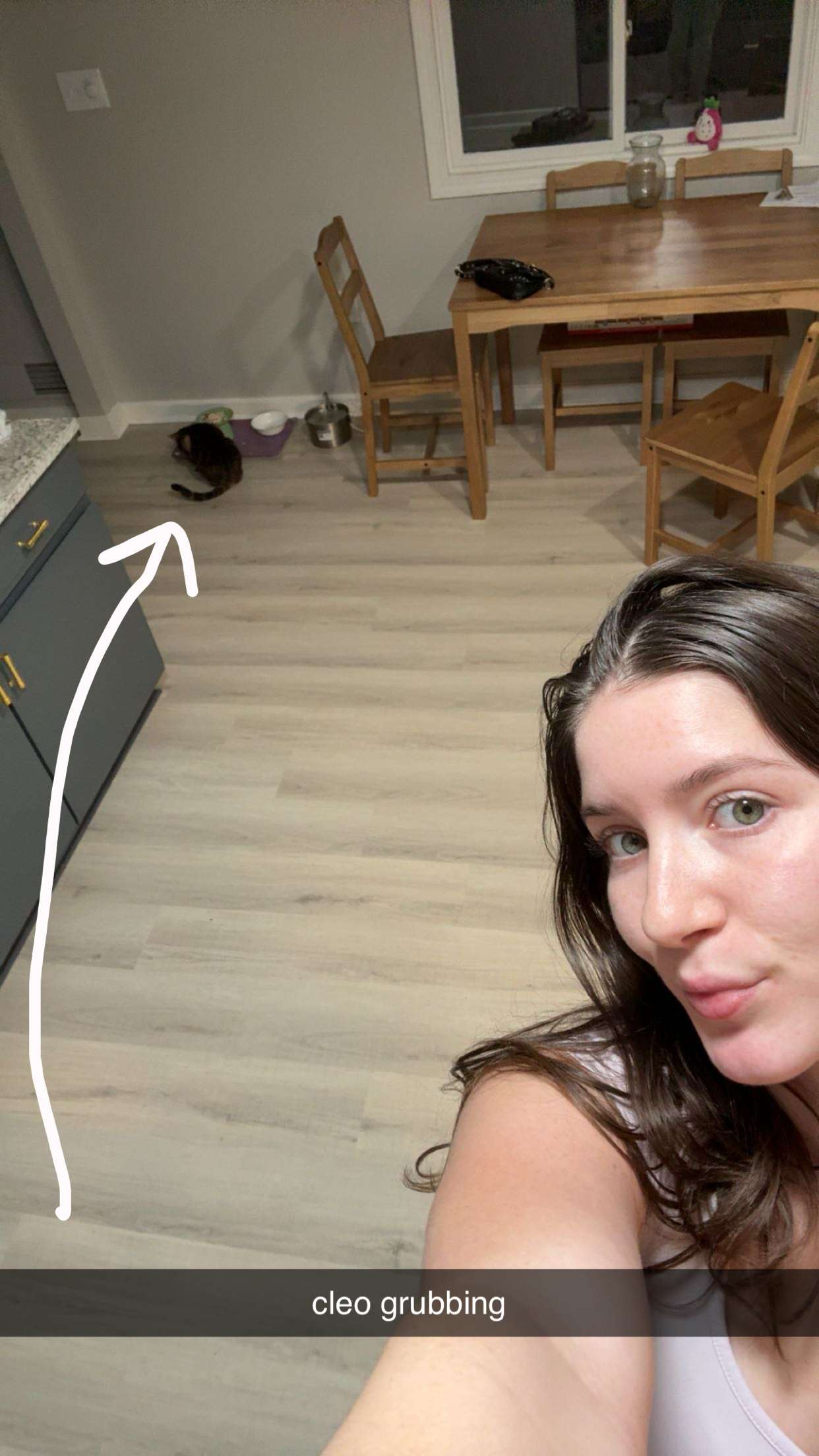 ameliabfit snapchat image archive image