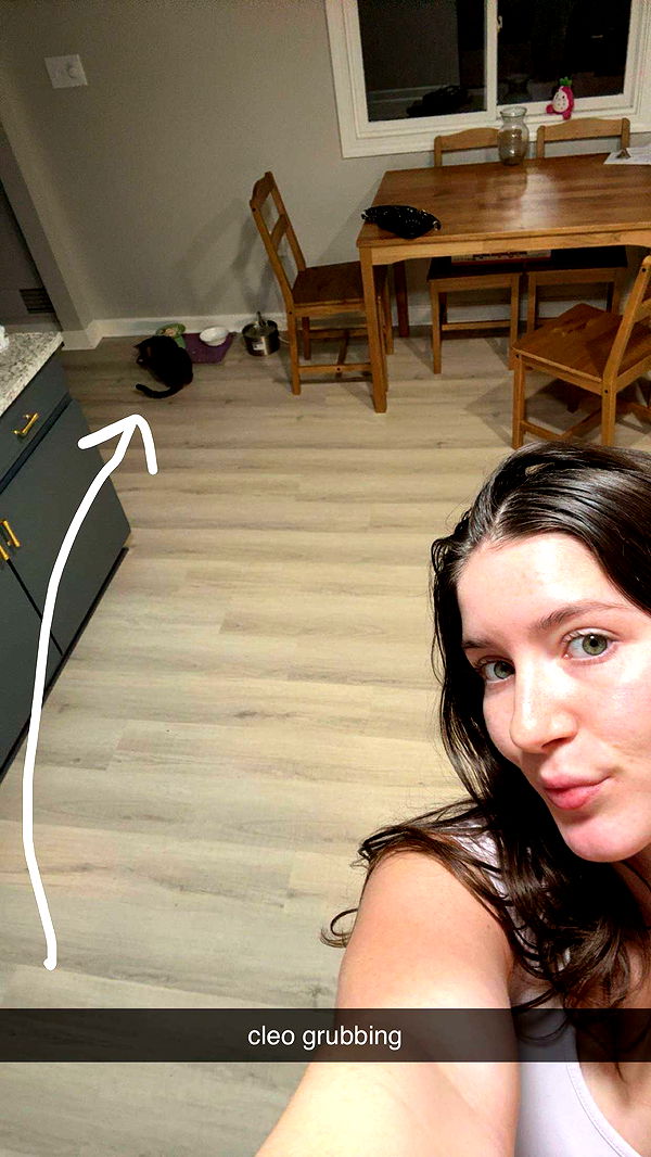 ameliabfit image ~ Altpins