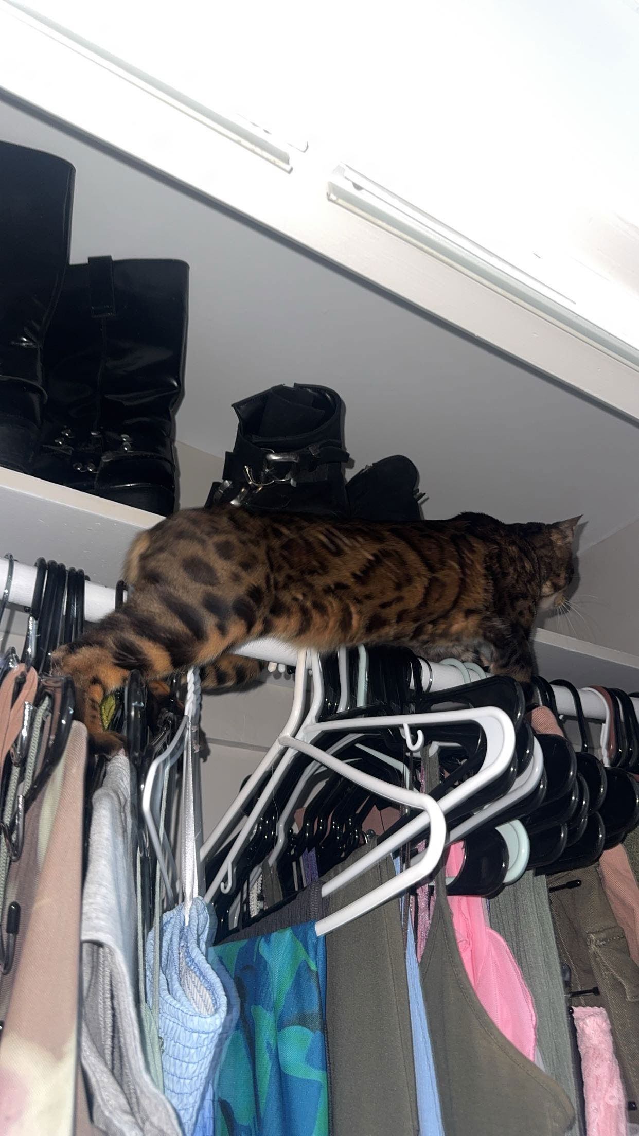 ameliabfit snapchat image archive image