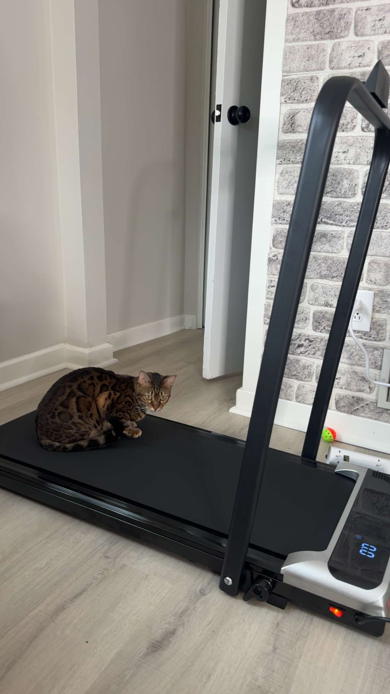 ameliabfit snapchat image archive image