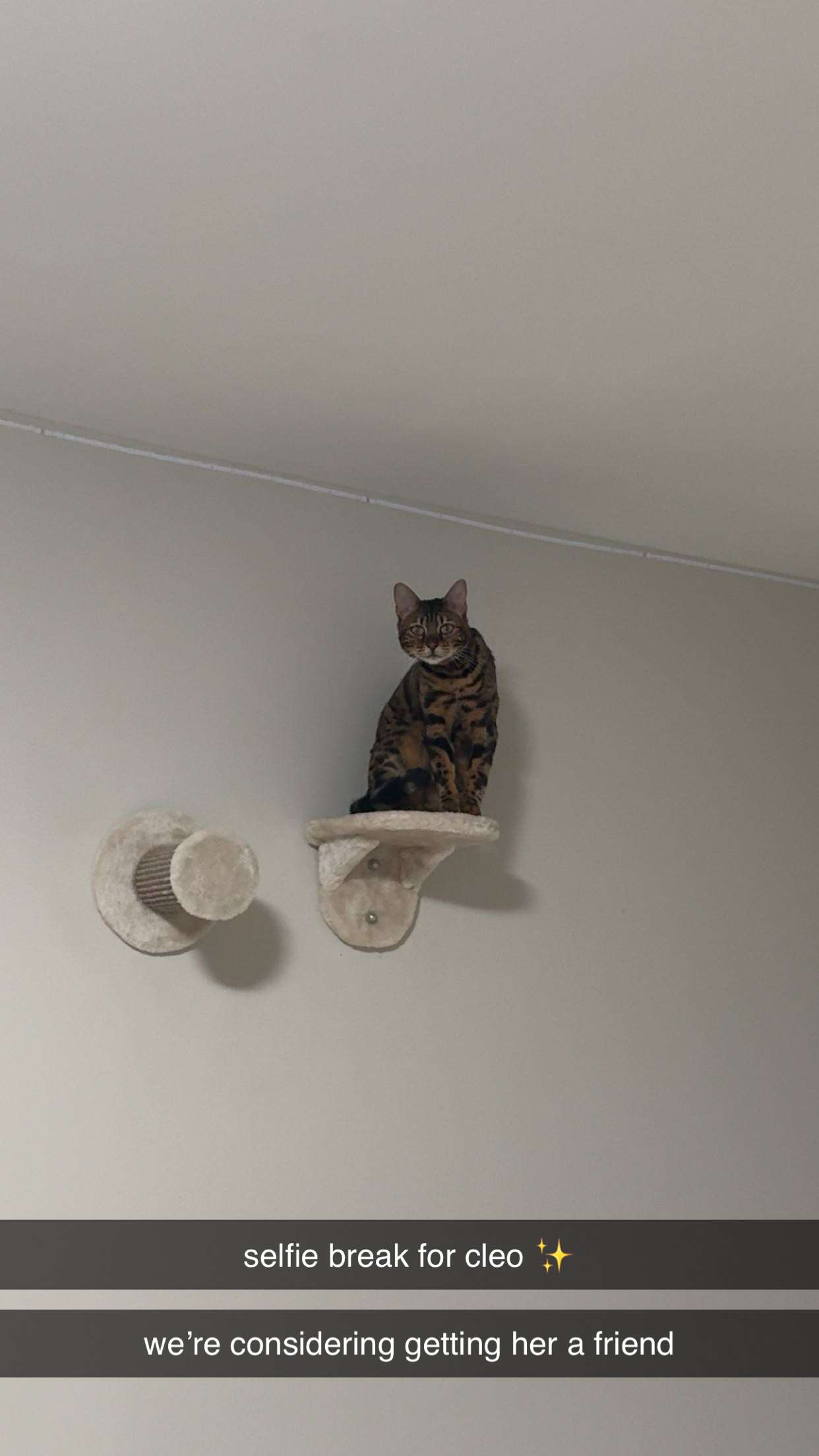 ameliabfit snapchat image archive image