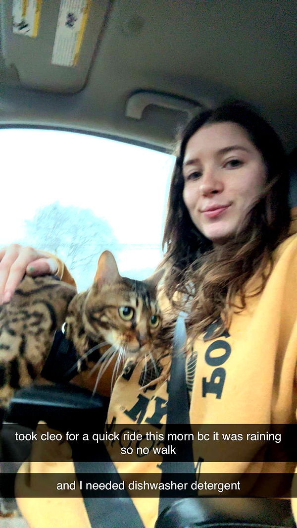 ameliabfit image ~ Altpins