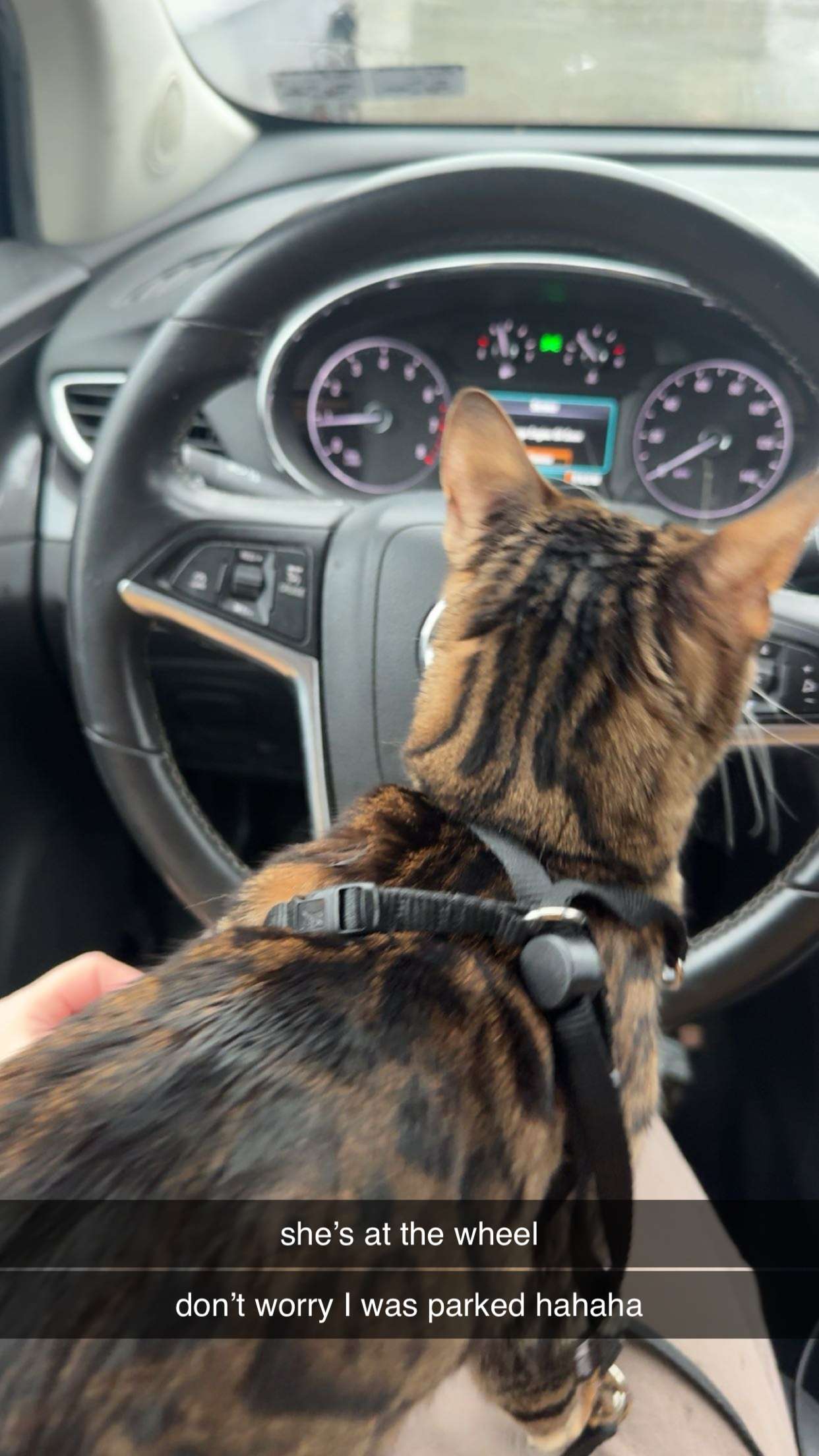 ameliabfit snapchat image archive image