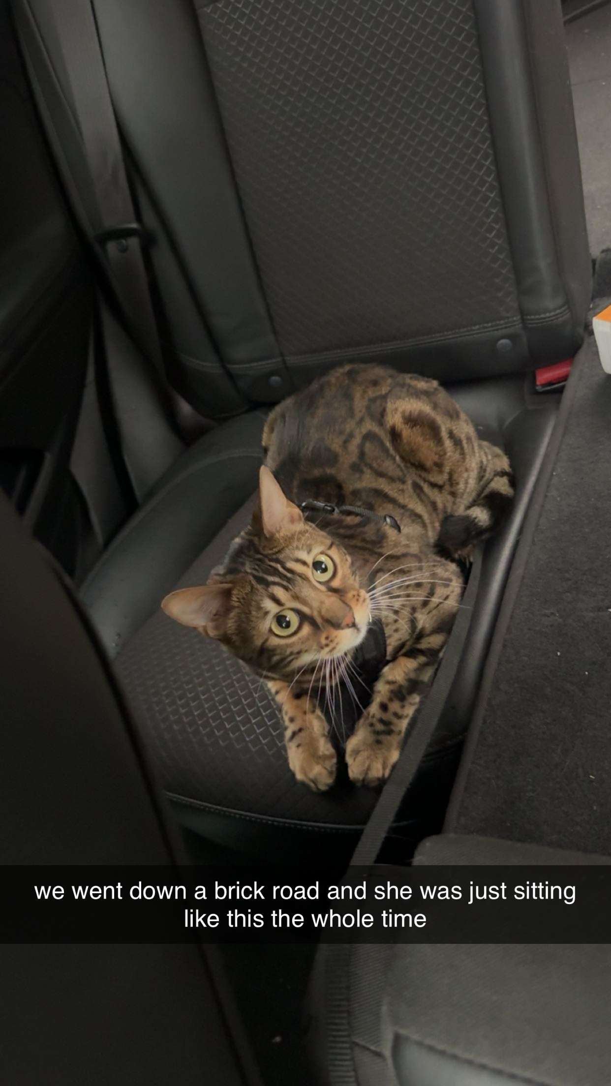 ameliabfit snapchat image archive image