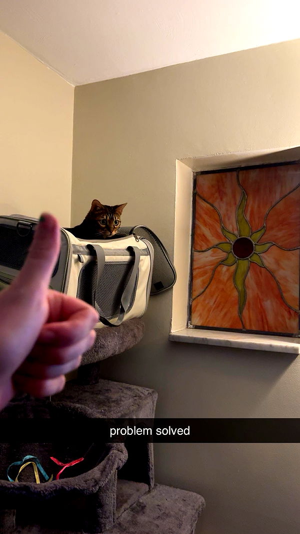 ameliabfit image ~ Altpins