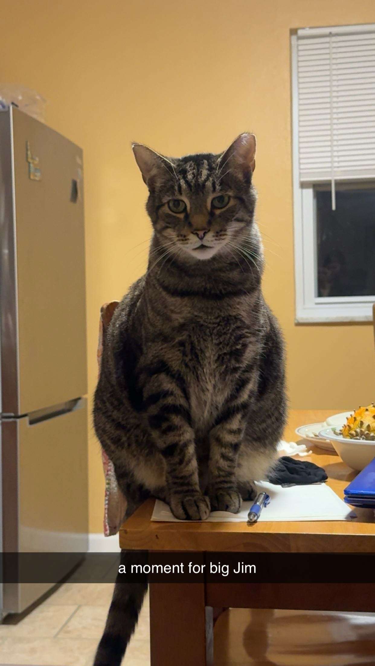 ameliabfit snapchat image archive image