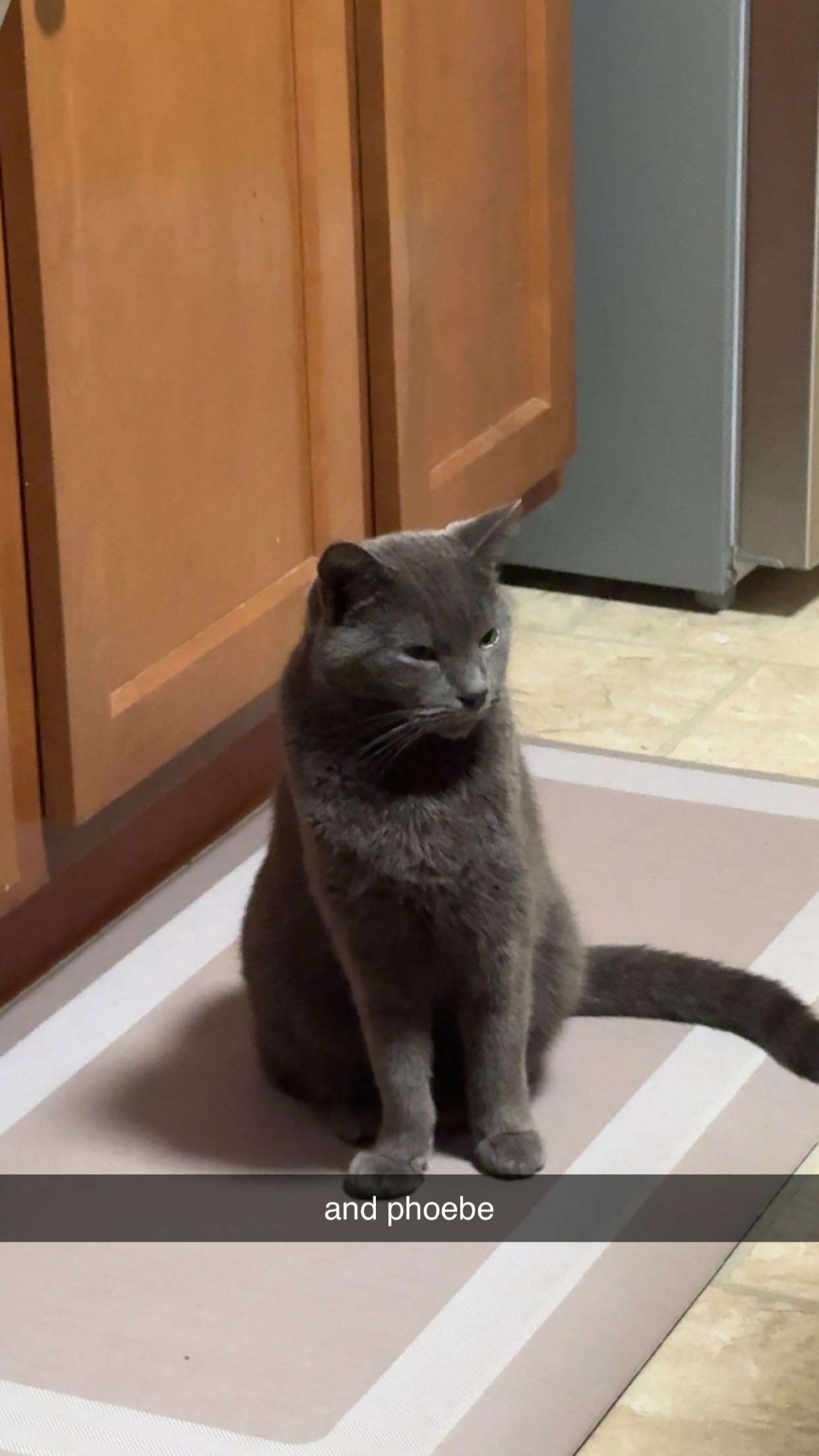 ameliabfit snapchat image archive image