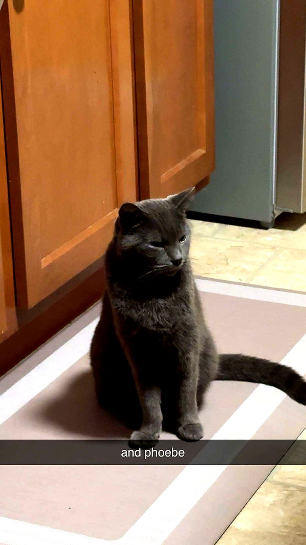 ameliabfit image ~ Altpins