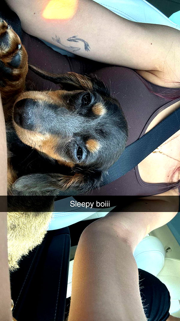andieg112 snapchat image archive image