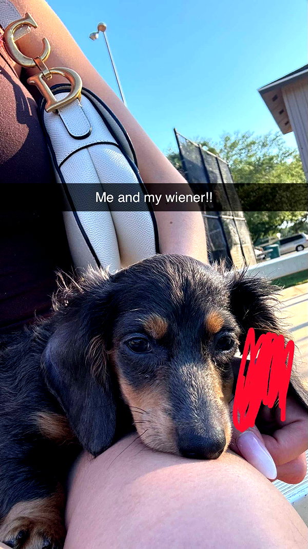 andieg112 snapchat image archive image