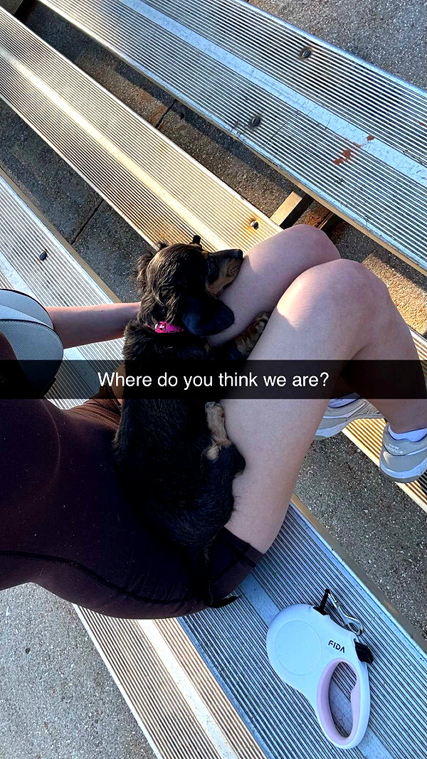 andieg112 snapchat image archive image