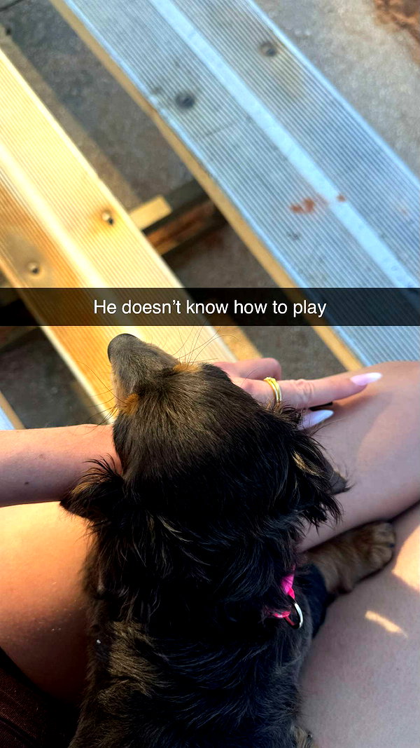 andieg112 snapchat image archive image