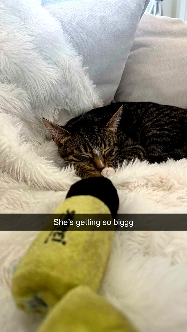 andieg112 snapchat image archive image