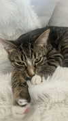 andieg112 Altpins Profile Picture