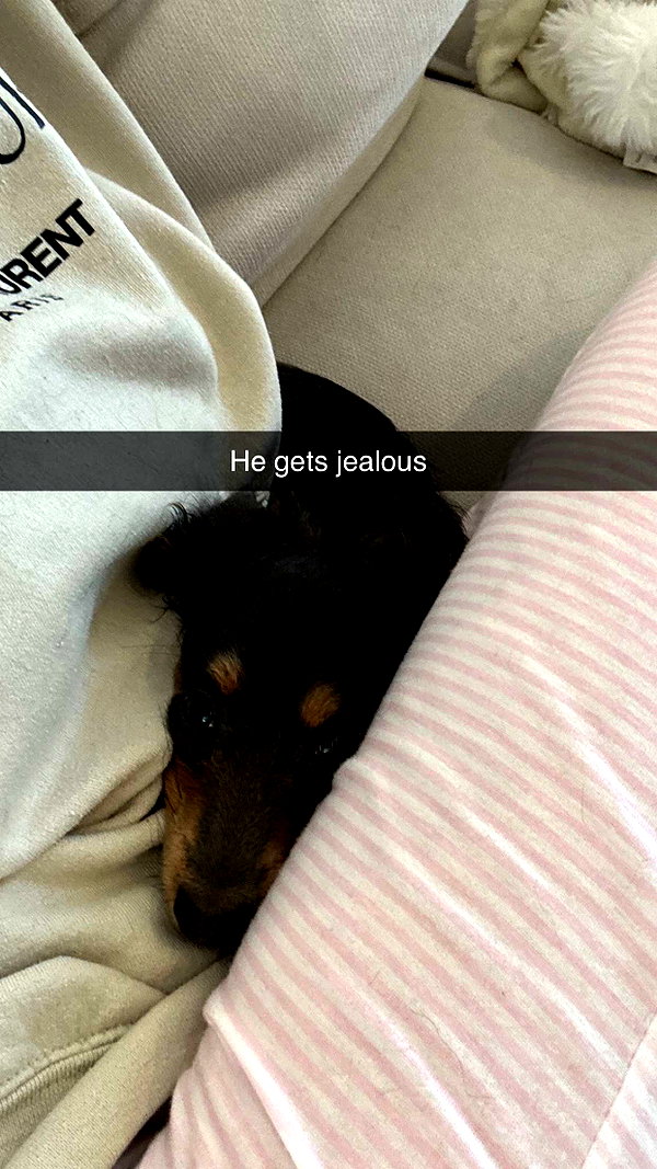 andieg112 snapchat image archive image