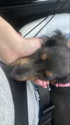 andieg112 Altpins Profile Picture