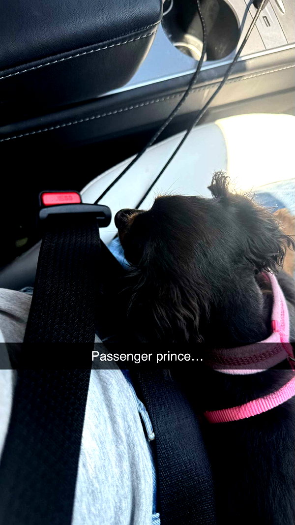 andieg112 snapchat image archive image