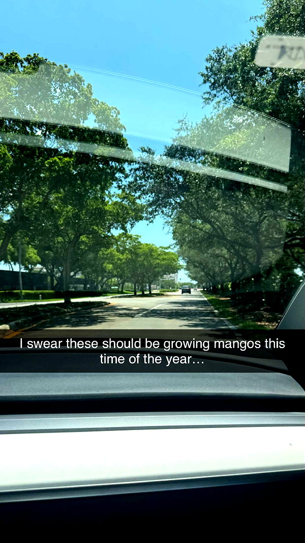 andieg112 snapchat image archive image