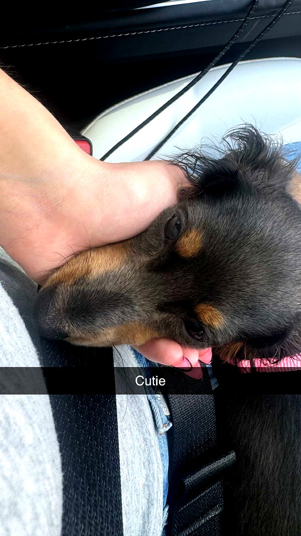 andieg112 snapchat image archive image